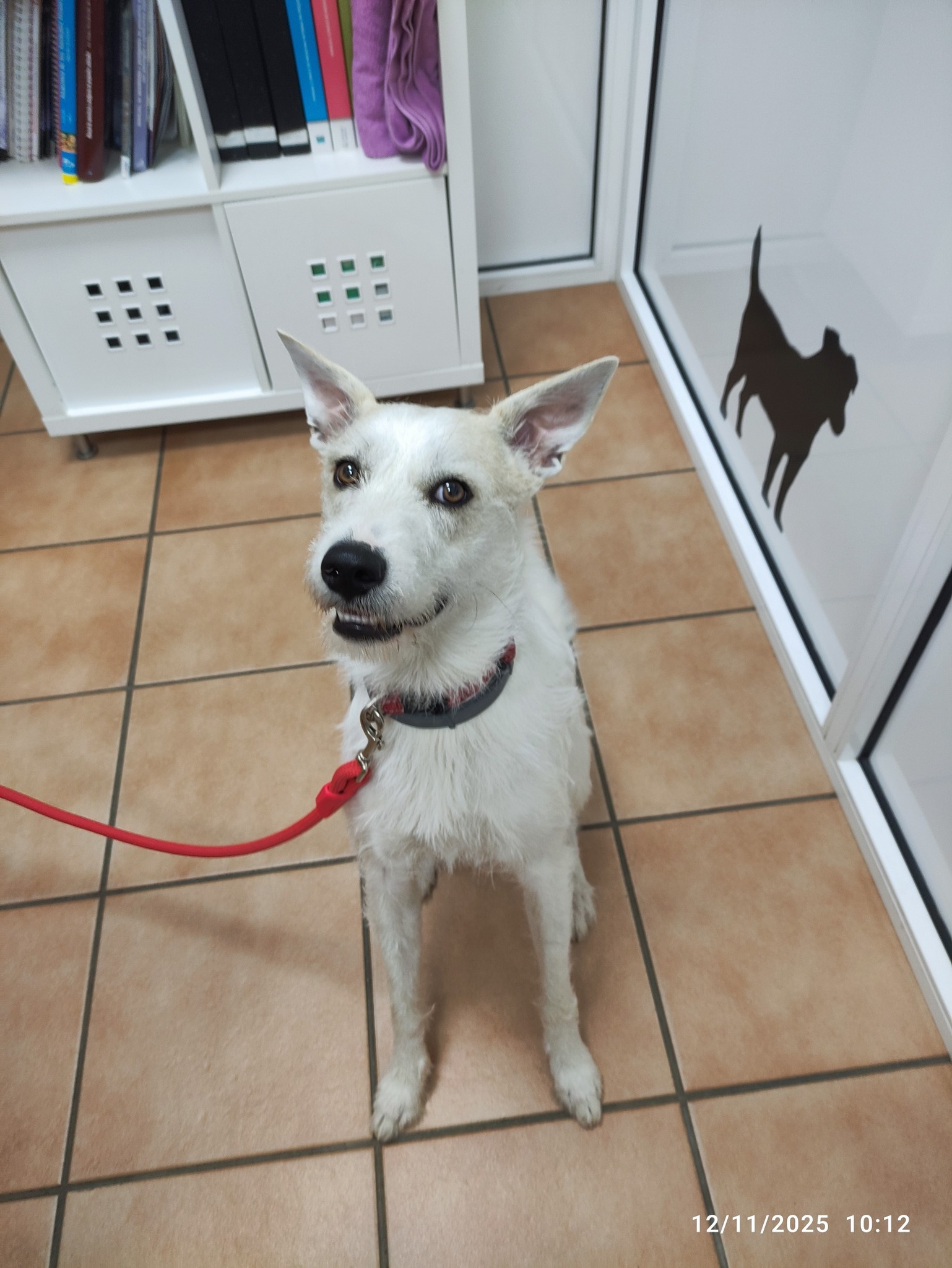 581797524_1458441446282298_7294958972733420523_n