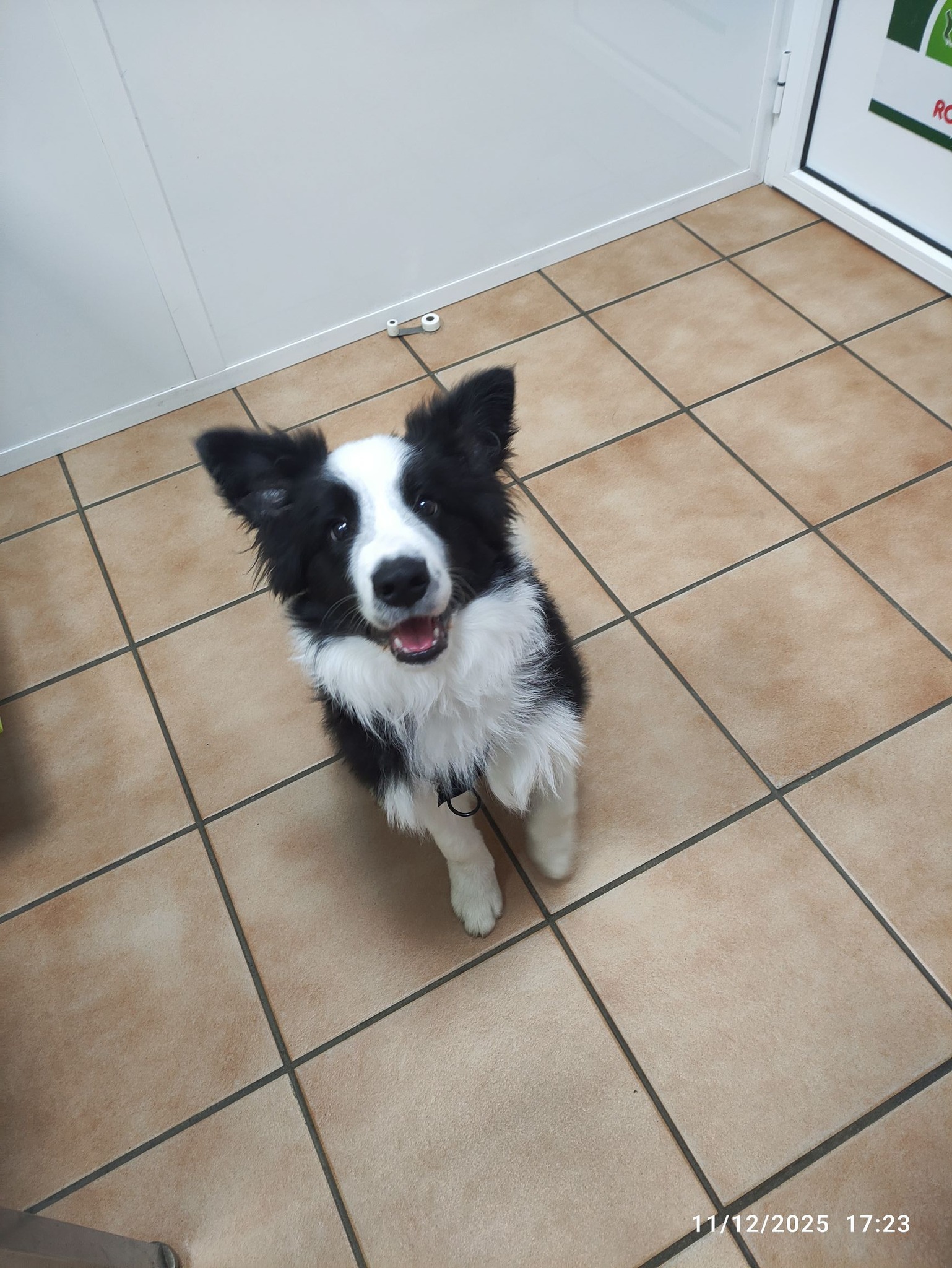 598944629_1488010946658681_108365630890843122_n